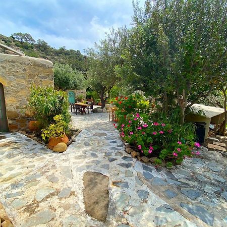 Natura Cottages Makrýgialos Dış mekan fotoğraf