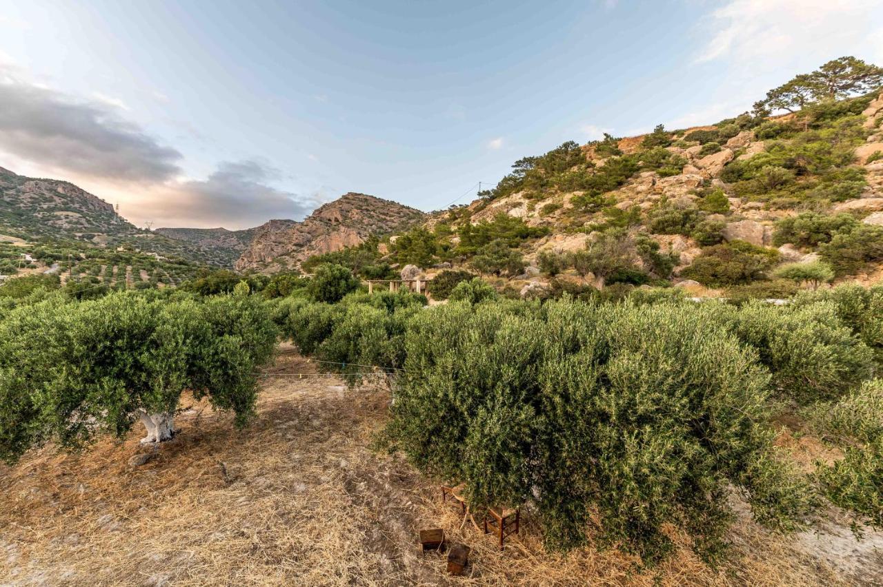 Natura Cottages Makrýgialos Dış mekan fotoğraf
